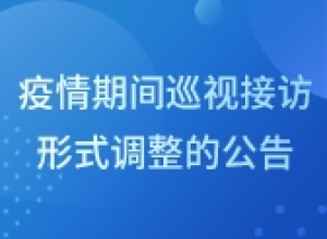 关于疫情期间巡视接访形式调整的公告